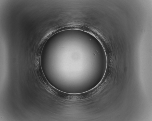 X0000116061355200911271234