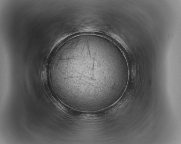 X0000116061356200911271234