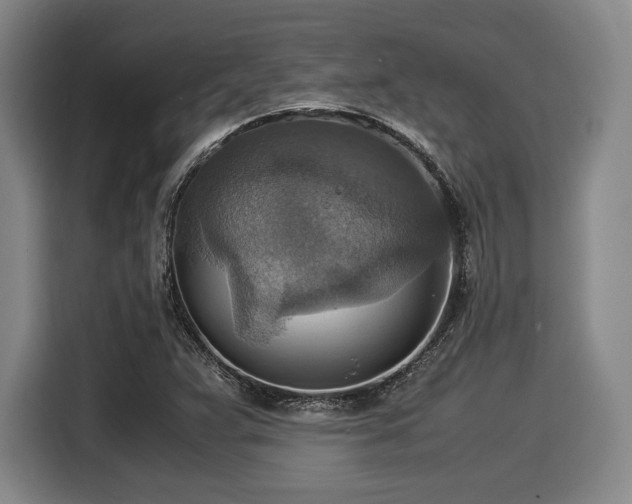 X0000116061359200911271234