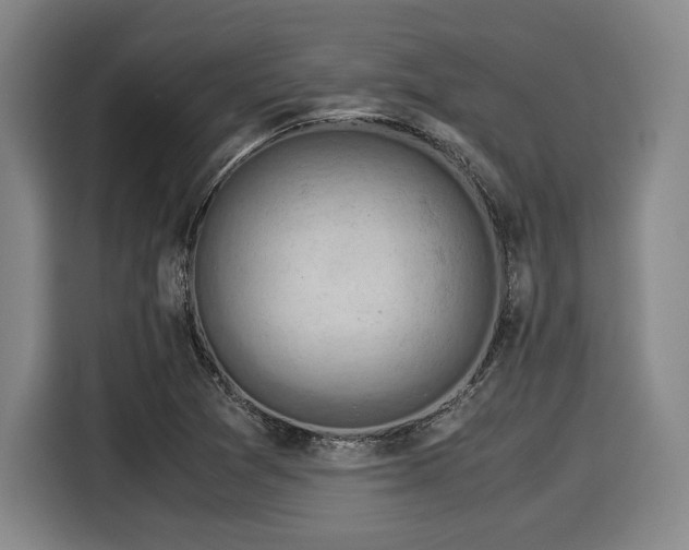 X0000116061361200911271234