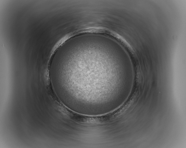 X0000116061362200911271234