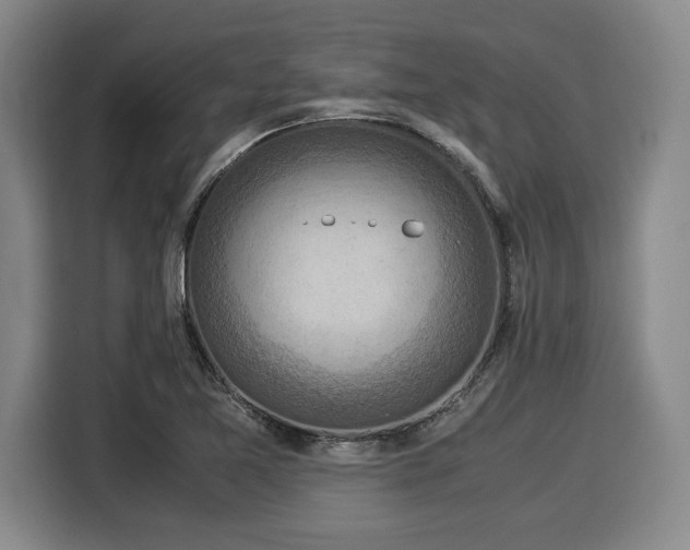 X0000116061365200911271234