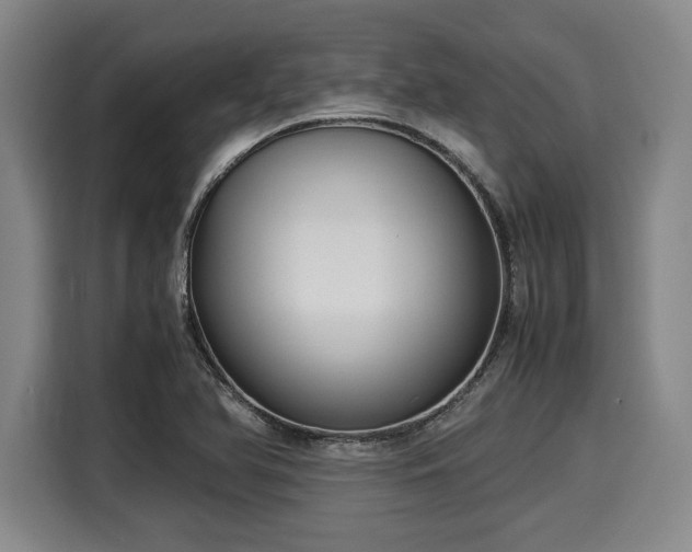 X0000116061366200911271234