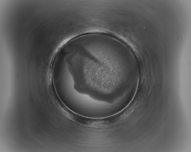 X0000116061367200911271234