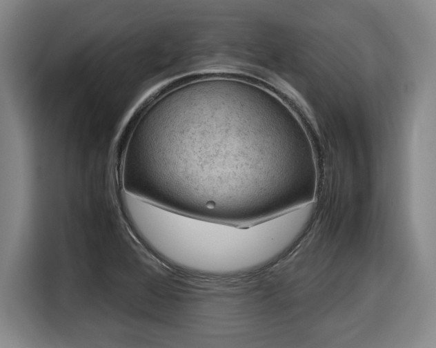 X0000116061368200911271234