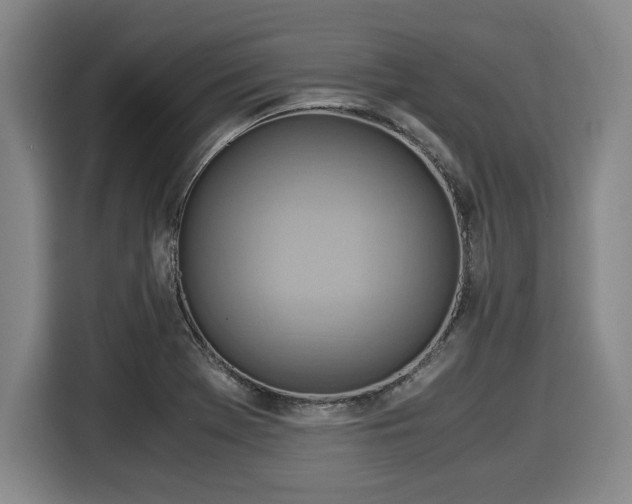 X0000116061369200911271234
