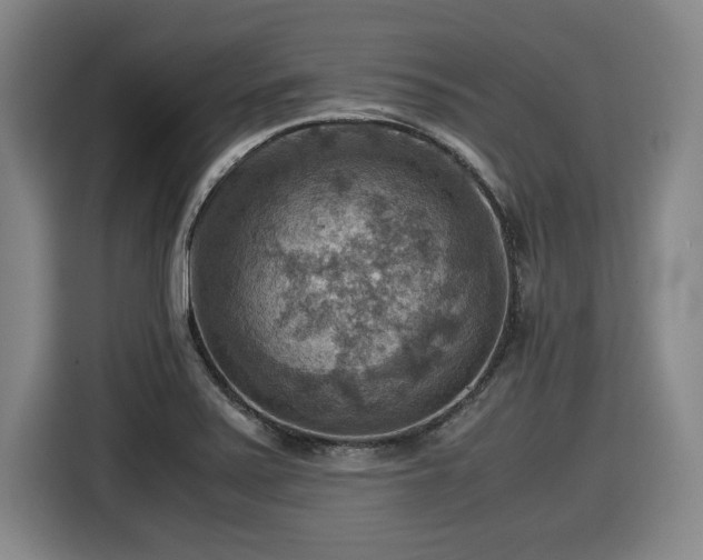 X0000116061371200911271234