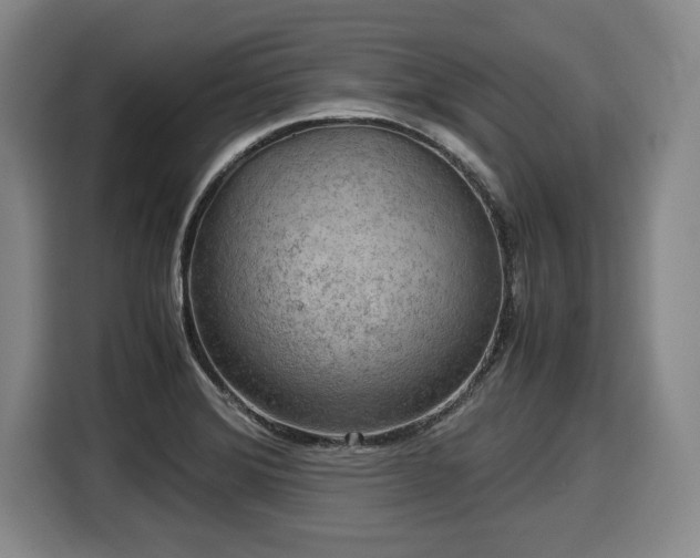 X0000116061372200911271234