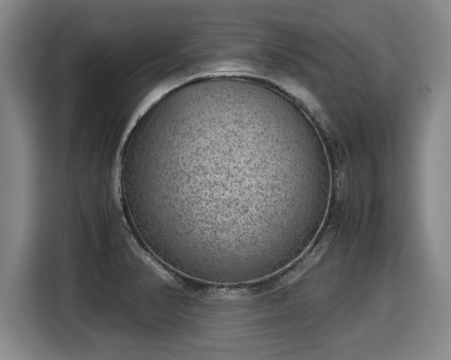 X0000116061374200911271234