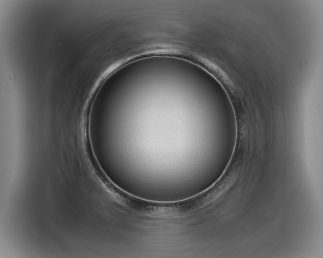 X0000116061375200911271234