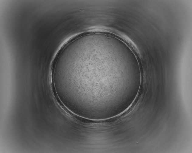 X0000116061376200911271234
