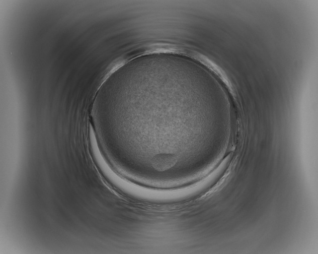 X0000116061377200911271234