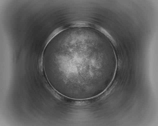 X0000116061378200911271234