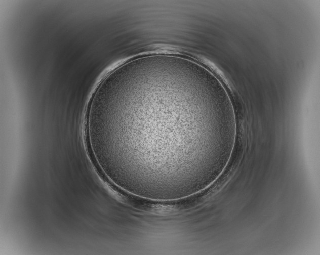 X0000116061379200911271234
