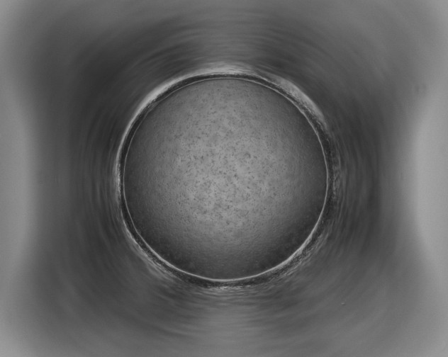 X0000116061380200911271234