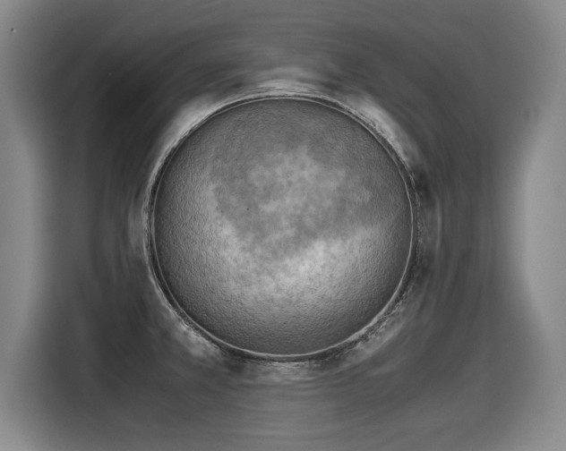 X0000116061381200911271234