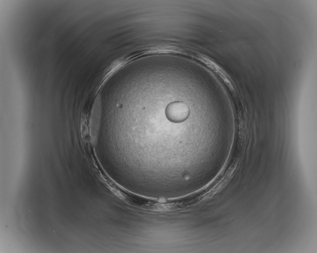 X0000116061385200911271234