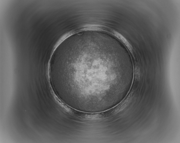 X0000116061386200911271233
