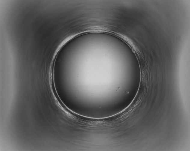 X0000116061387200911271233