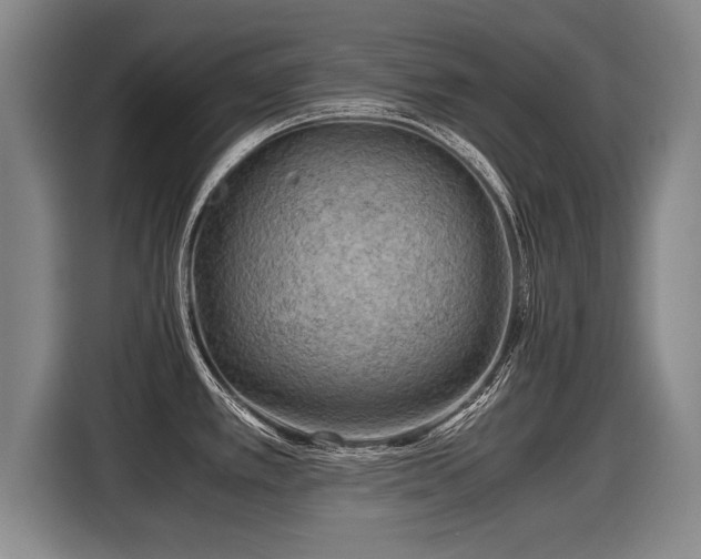 X0000116061389200911271233