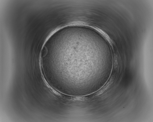 X0000116061390200911271233