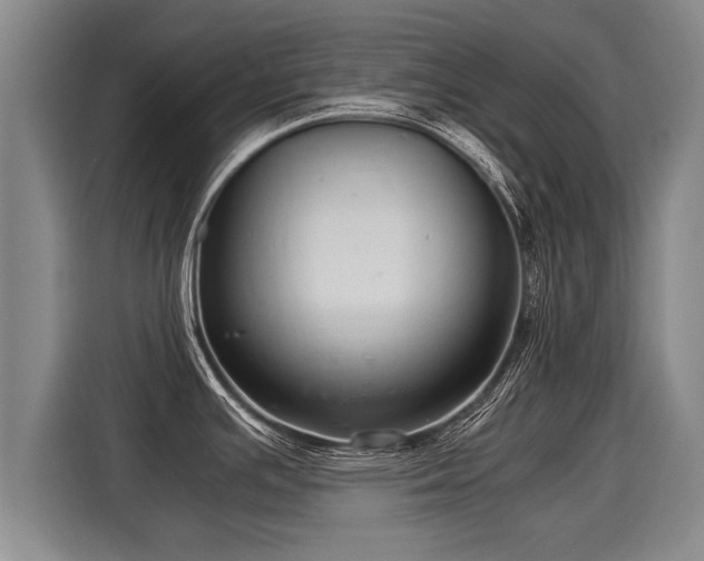 X0000116061391200911271233