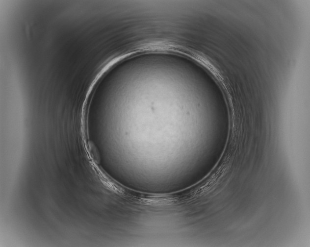 X0000116061392200911271233