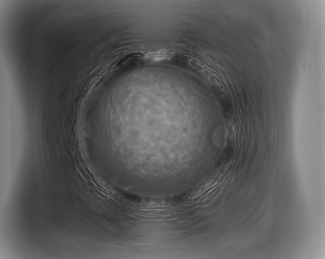 X0000116061393200911271233