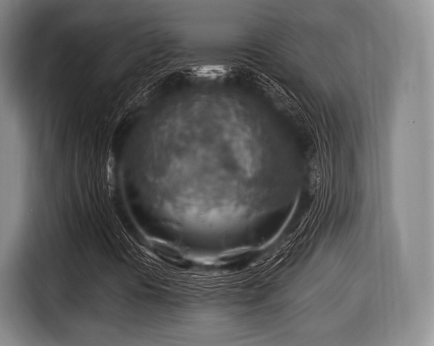 X0000116061394200911271233