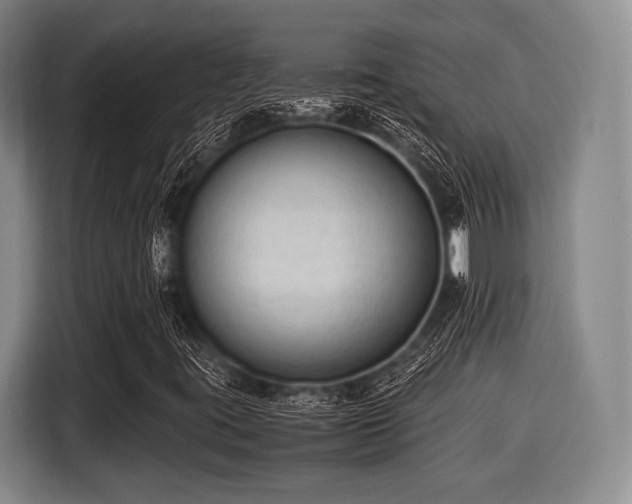 X0000116061395200911271233