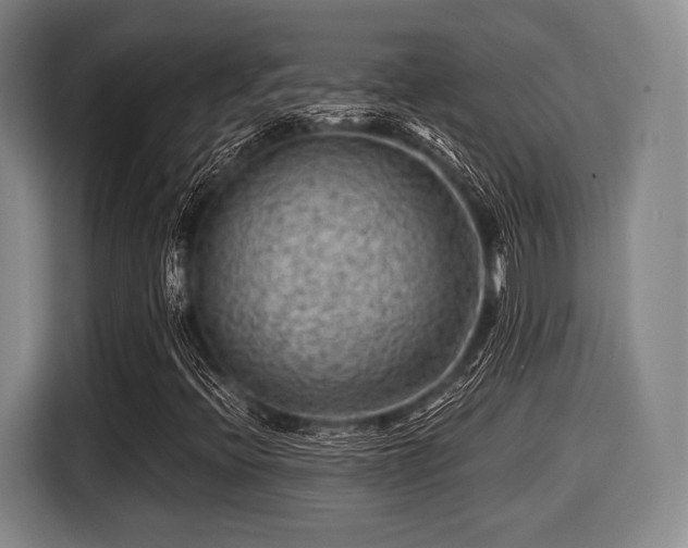 X0000116061396200911271233