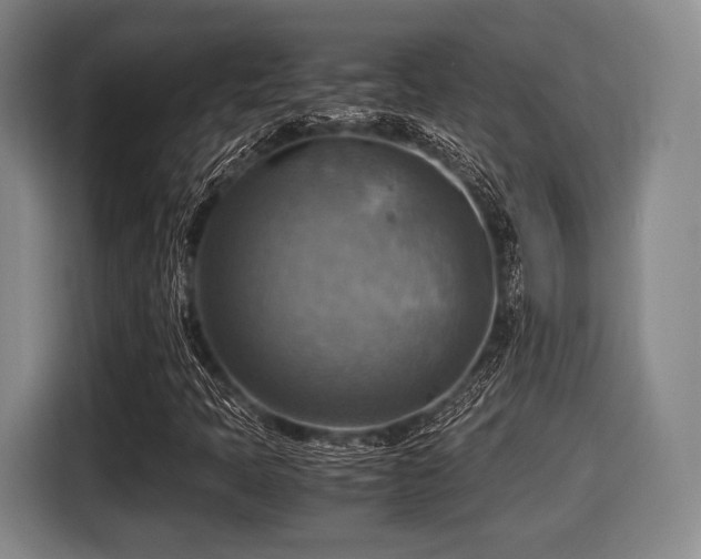 X0000116061397200911271233