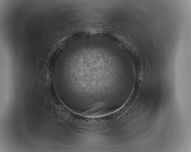 X0000116061398200911271233