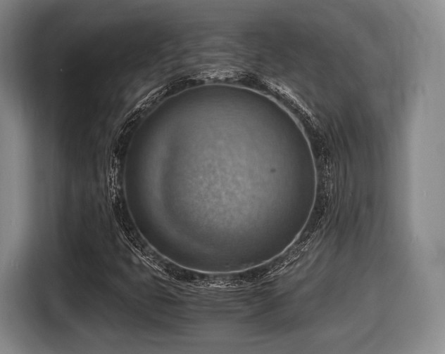 X0000116061399200911271233