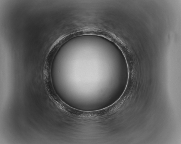 X0000116061400200911271233