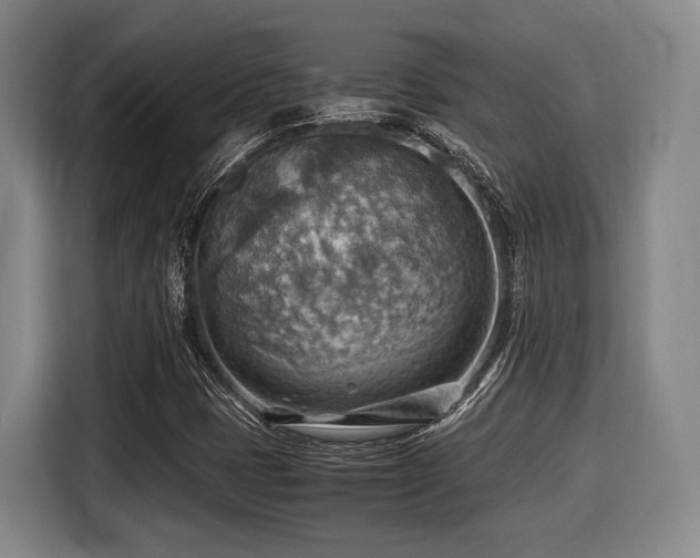 X0000116061401200911271233
