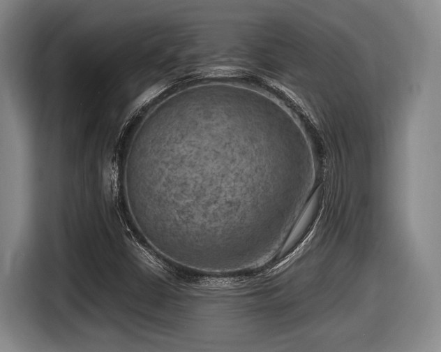 X0000116061402200911271233