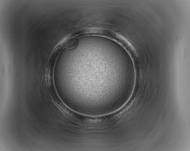X0000116061403200911271233