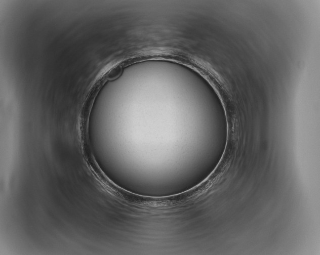 X0000116061404200911271233