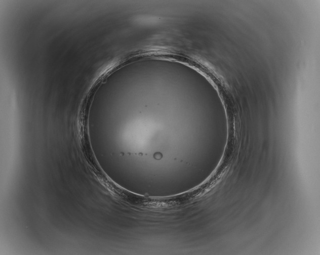 X0000116061405200911271233