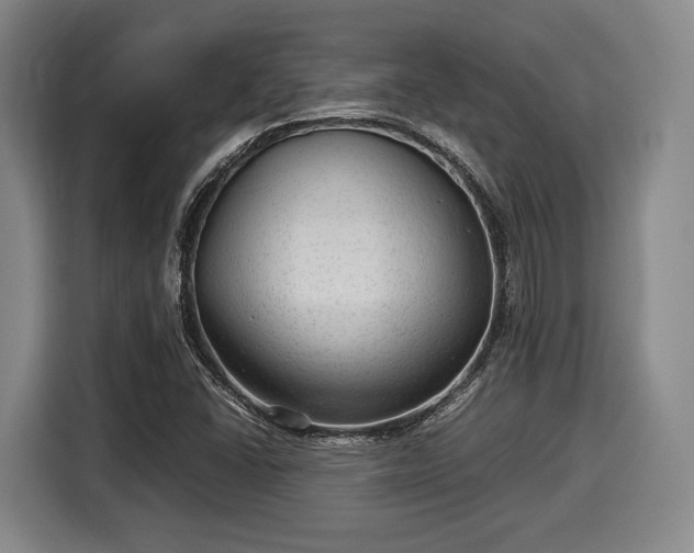 X0000116061406200911271233