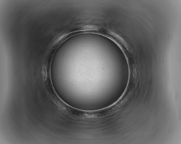 X0000116061407200911271233