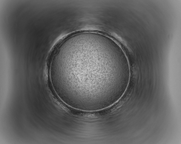X0000116061408200911271233