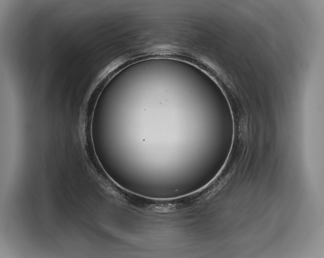X0000116061410200911271233