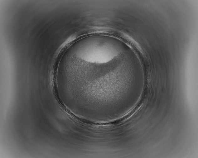 X0000116061411200911271233