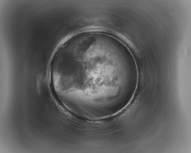 X0000116061413200911271233