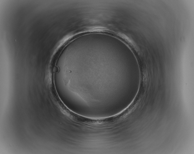 X0000116061414200911271233