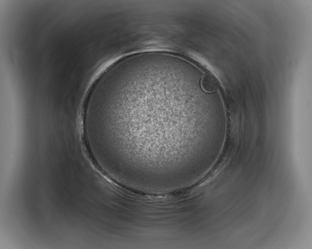 X0000116061415200911271233