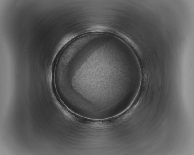 X0000116061418200911271233
