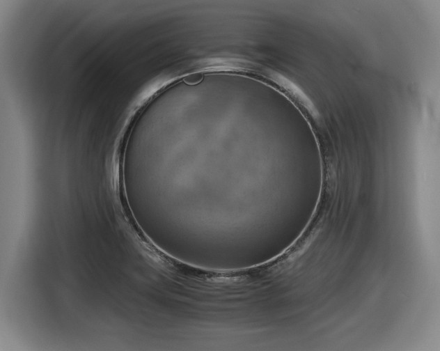 X0000116061419200911271233